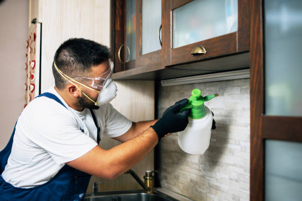 Best Ant Control Services  in Groesbeck, TX