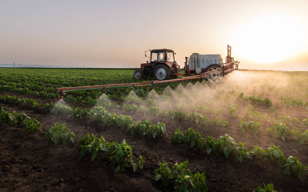 Reliable Groesbeck, TX Pest Control Solutions