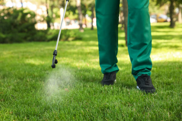 Best Bed Bug Extermination  in Groesbeck, TX