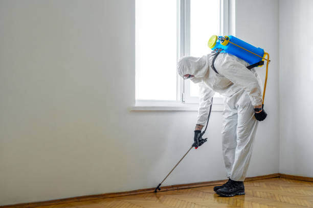 Best Affordable Pest Control Services  in Groesbeck, TX